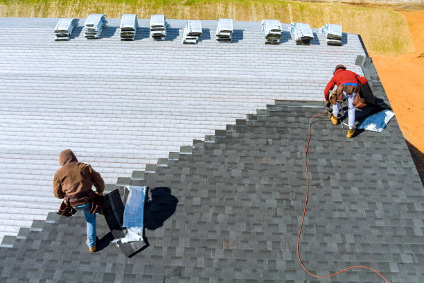 Best Storm Damage Roof Repair  in Olivet, MI