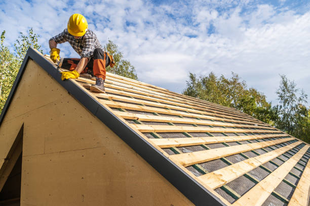 Best Roof Gutter Cleaning  in Olivet, MI