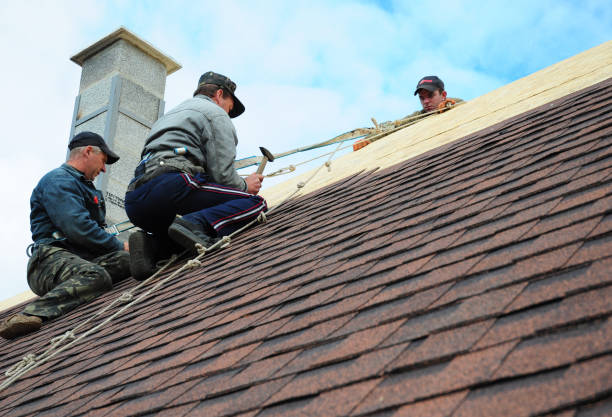 Best Roof Repair Services  in Olivet, MI