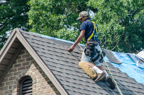 Best Best Roofing Contractors  in Olivet, MI